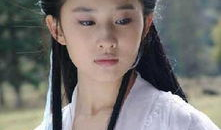 电视剧女,梦想绽放的青春岁月